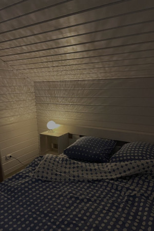 Индивидуалка Альбина фото мои 