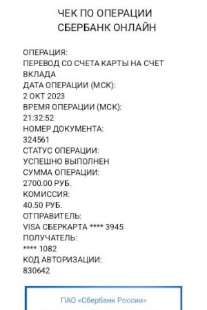 Индивидуалка Карина